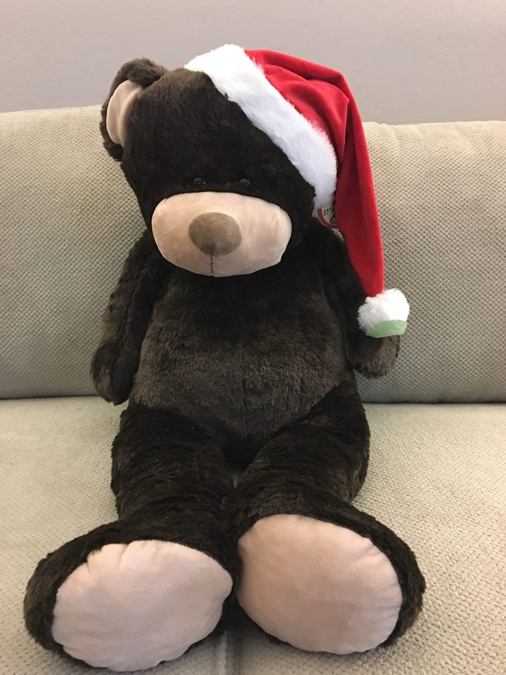 TEDDY BEAR